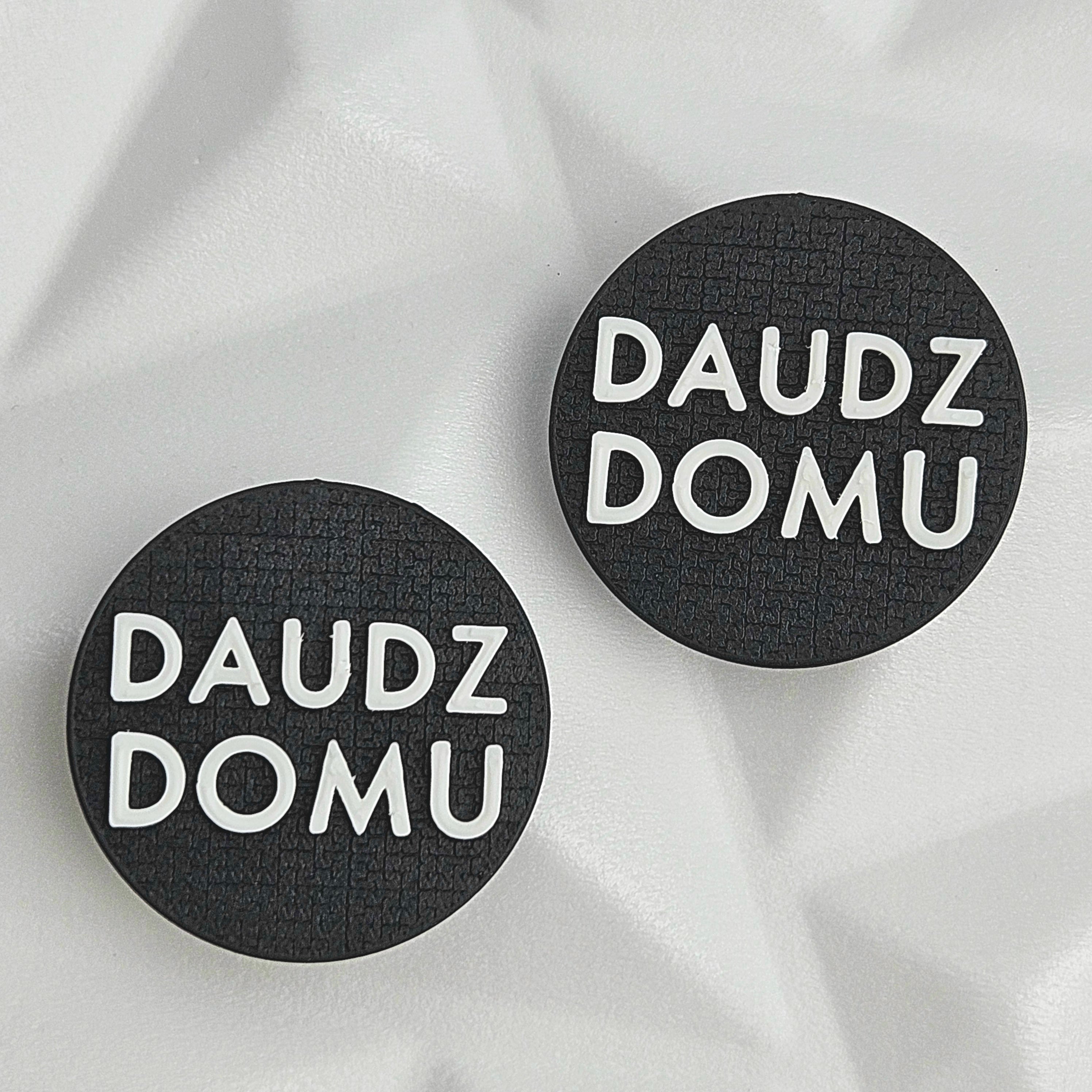 Daudz Domu auskari